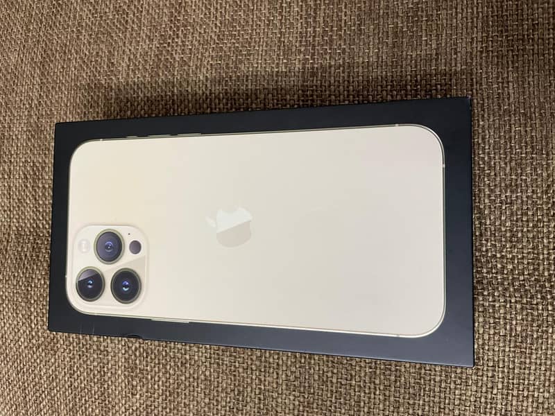 iPhone 13 pro max 1