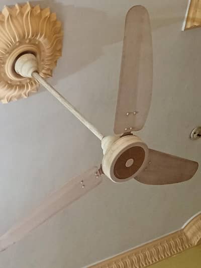 220    AC fan Royal Fan