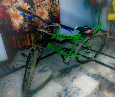 PHONEX CYCLE USED BUT NICE