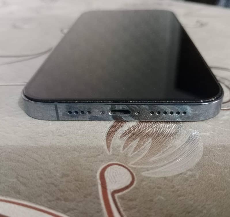 iPhone 13pro max 1