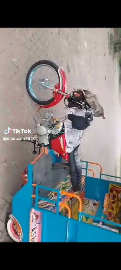 chinchi raksha