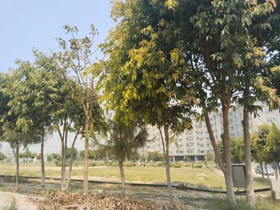 Plot for sale