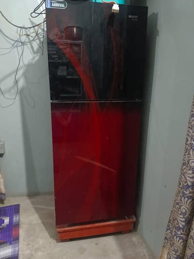 orient medium size