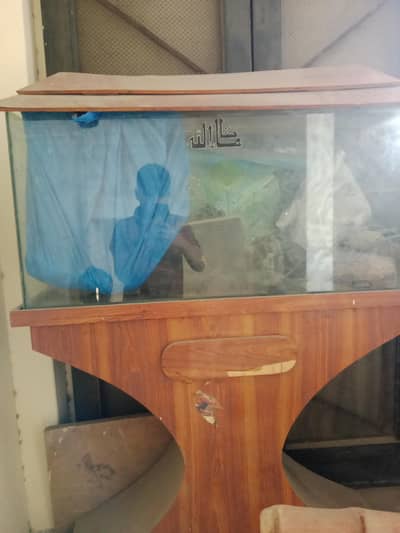 aquarium for sale