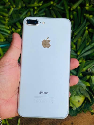128 white lush mobile