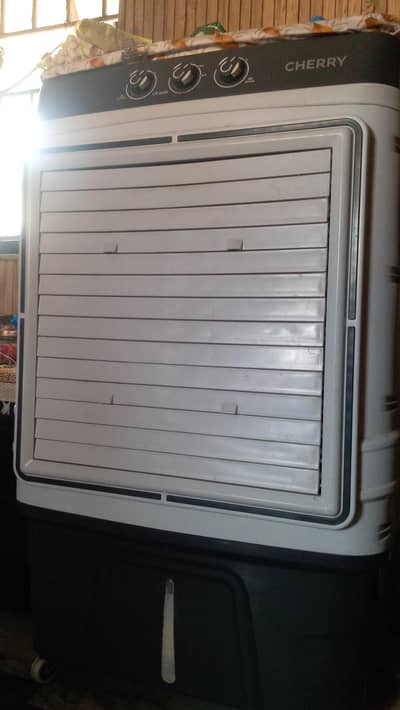 room Cooler