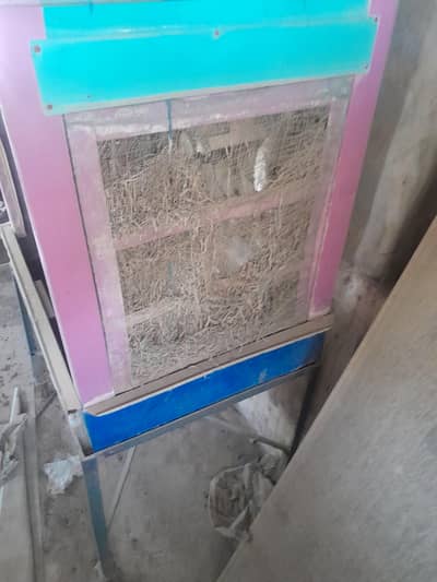12 volt cooler