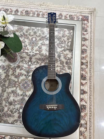 Guitar
