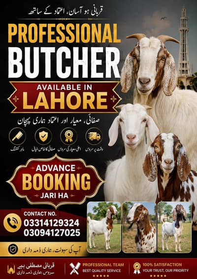 professional butcher available ha