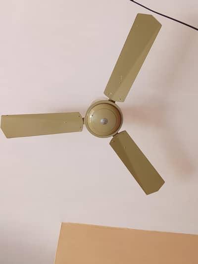 selling fan G. F. C
