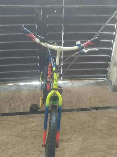 Phoenix Cycle