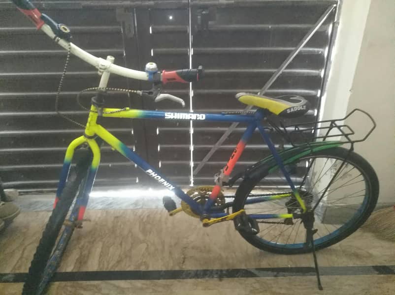 Phoenix Cycle 1