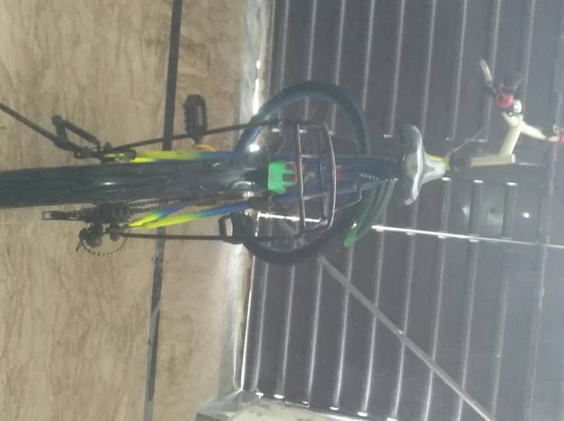 Phoenix Cycle 2