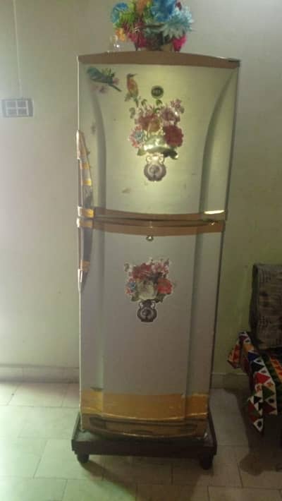 Pel Fridge Urgent Sell Medium size