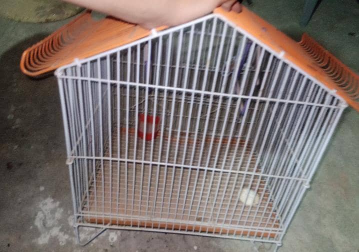 Zarar Cage Small 2