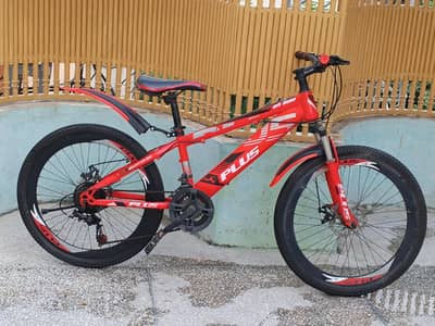 Plus Imported Bicycle 24 inch size