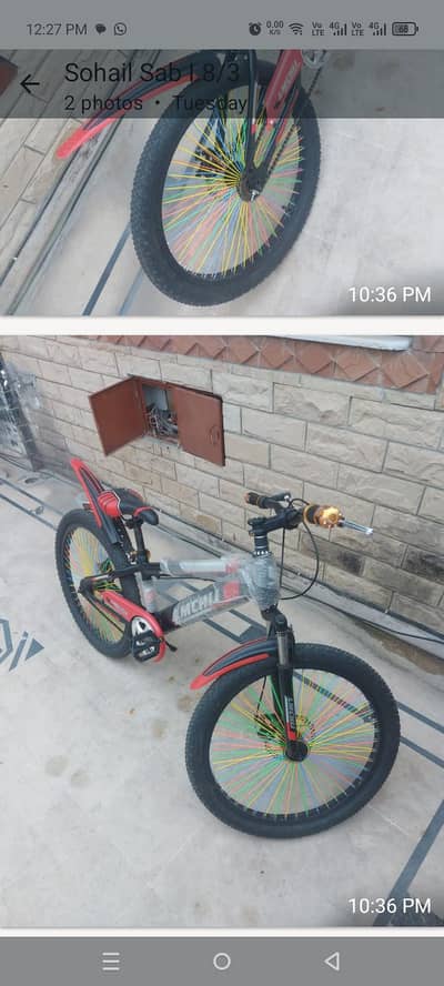 mountain Bike