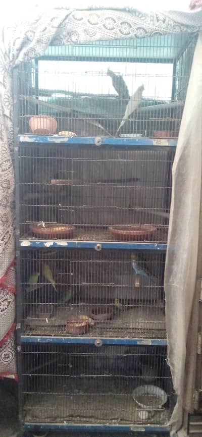 cage for sale