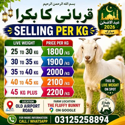 2 dant bakrey azan kay hesab say lay jain