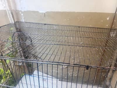 parrot cage
