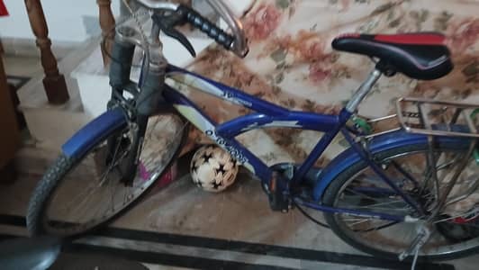full size cycle for sale