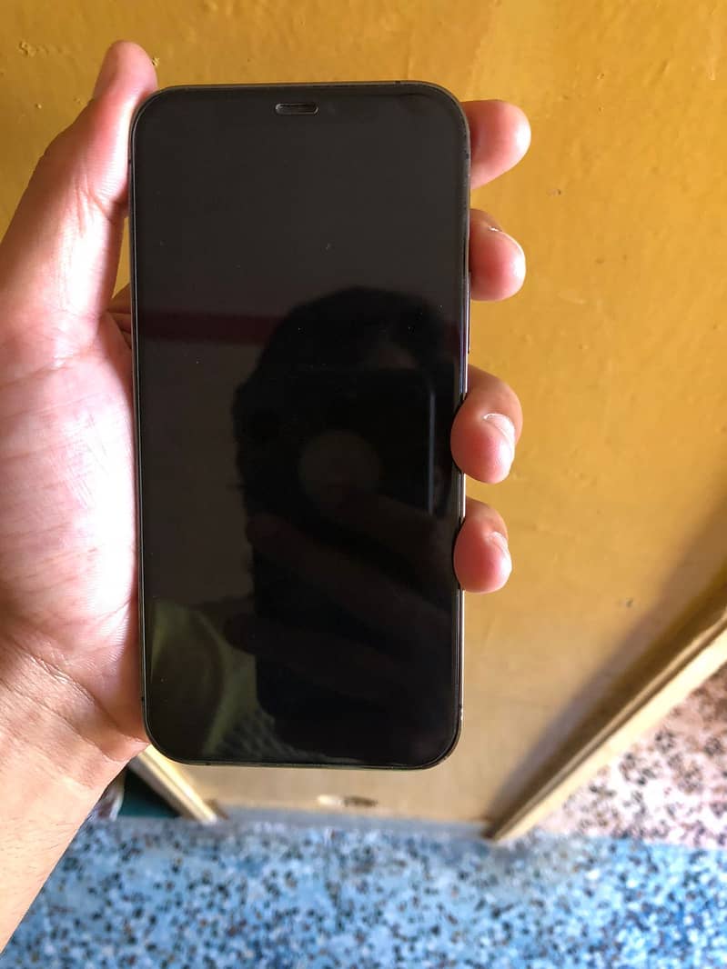 12 pro 2