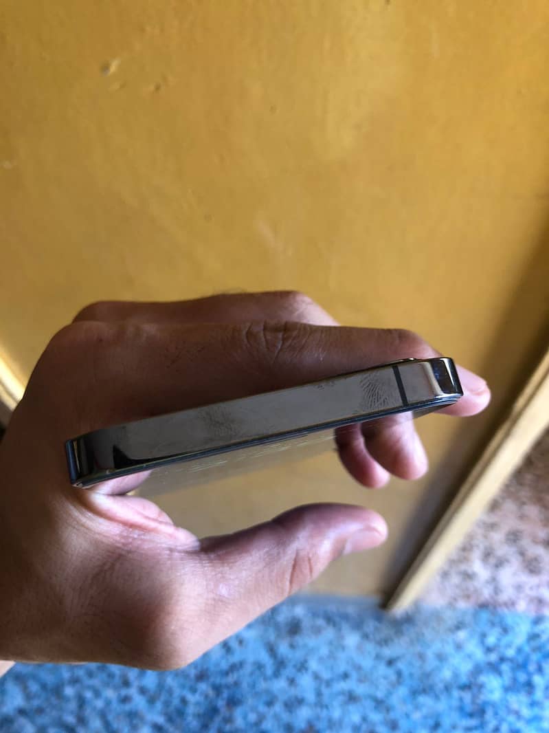 12 pro 4