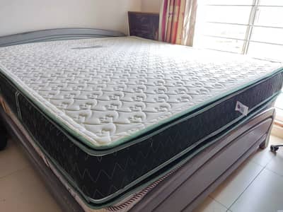 Master Celest Bravo, Master Crest & Al-Khair Soring fit Energy Sleep