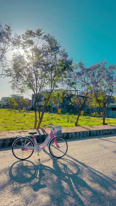 Ladies imported cycle