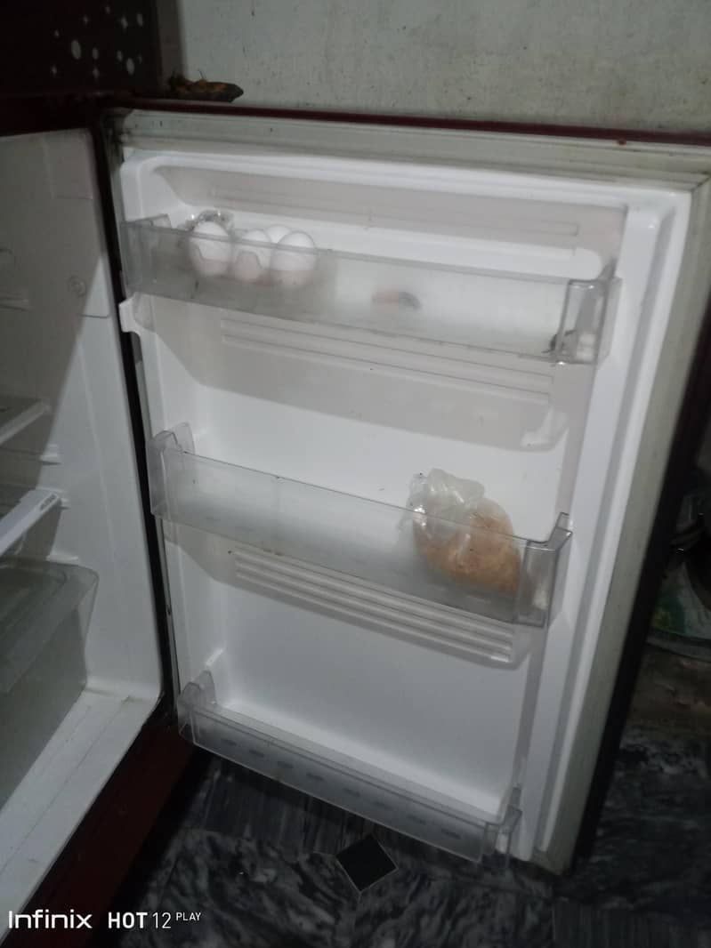 frige 5