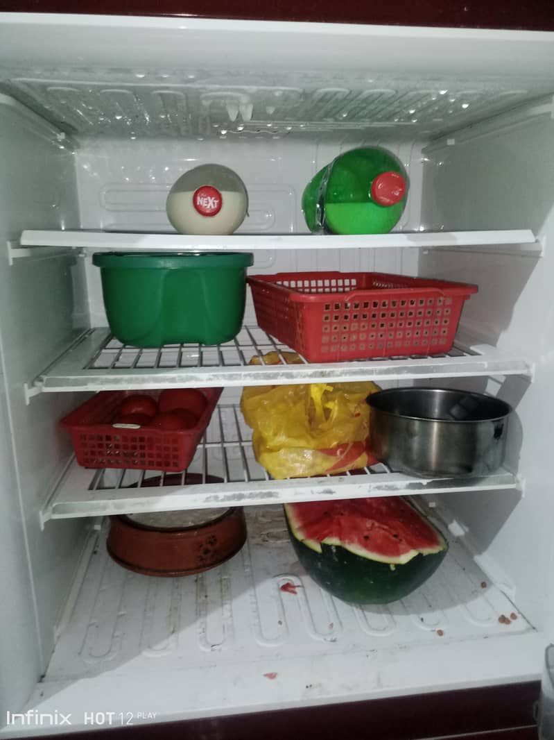frige 6