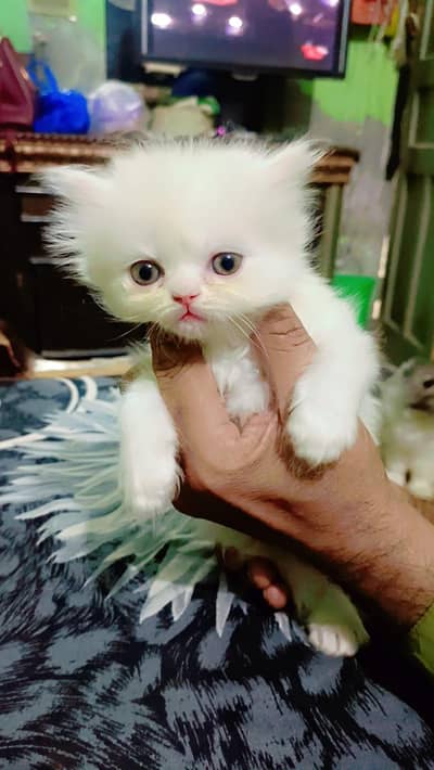 for sale