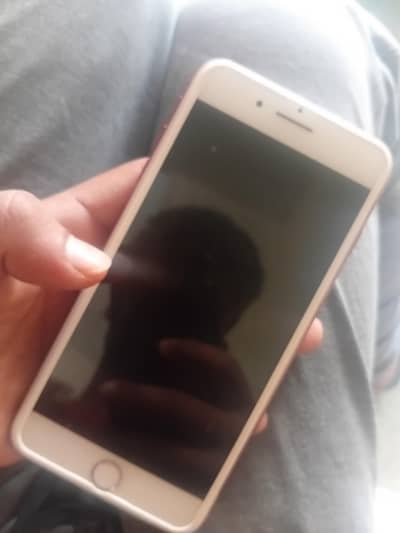 I phone 7 plus pta approved