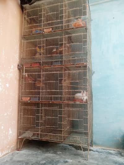 Cage For Birds 3*7