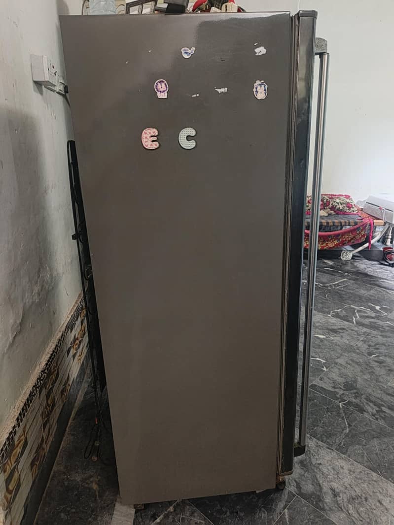 vertical freezar 1