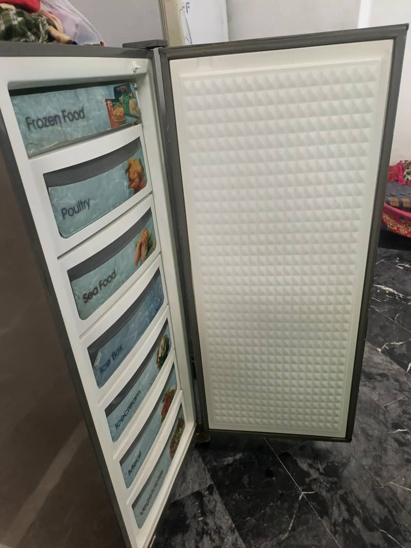 vertical freezar 5