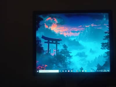 Dell 31inch 10/10 monitor