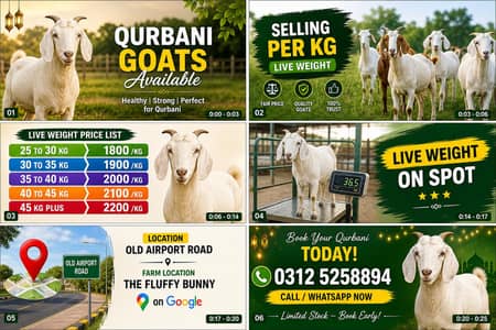 1800 per kg kay hesab say bakra khareden