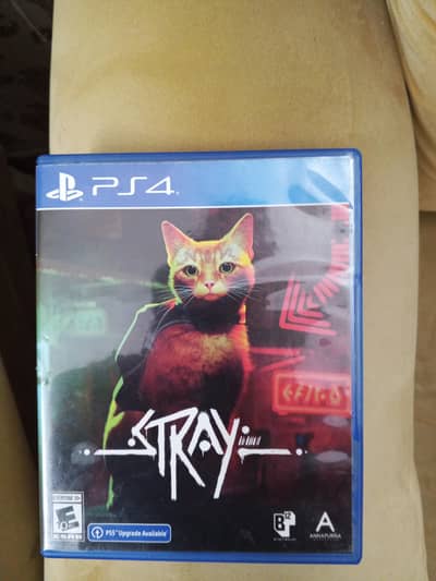 Stray