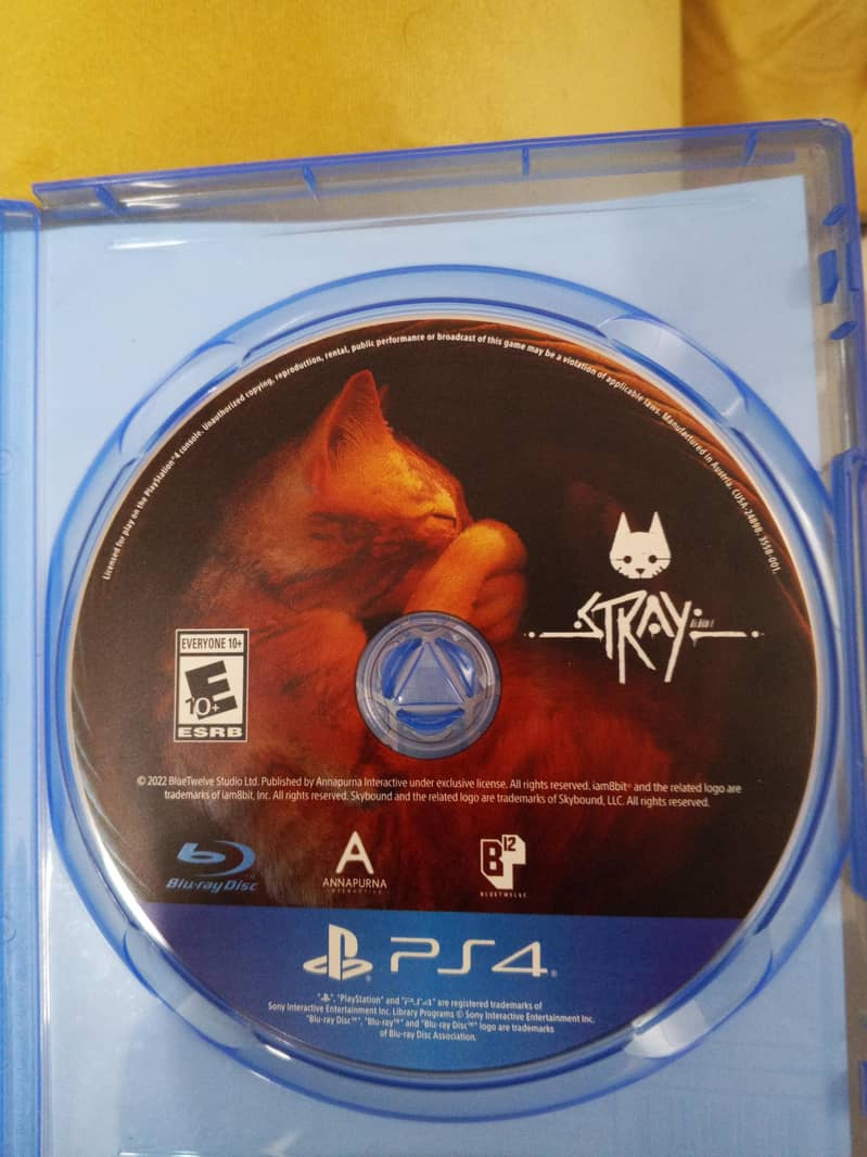 Stray 1