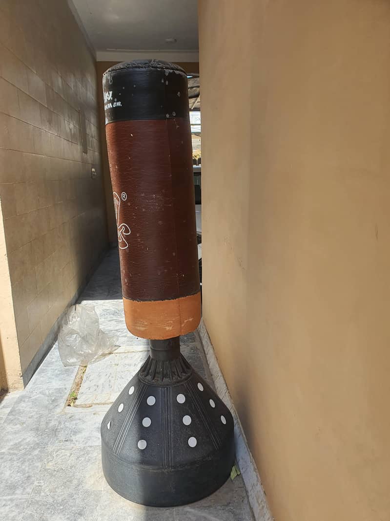 Exercise Equipment 1