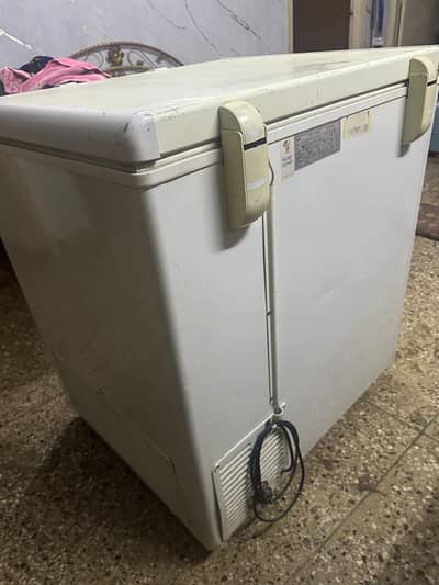Haier d-freezer