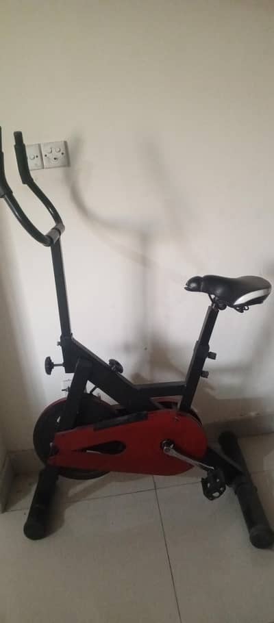 Exercise Cycle
