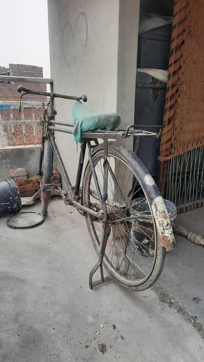 Eagle Bicycle