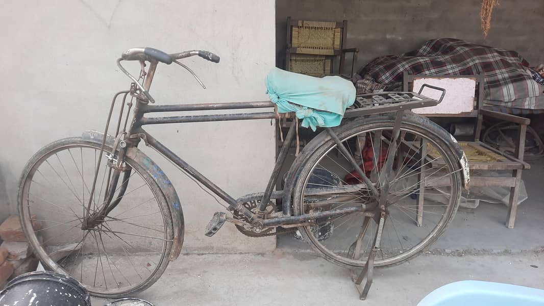 Eagle Bicycle 1