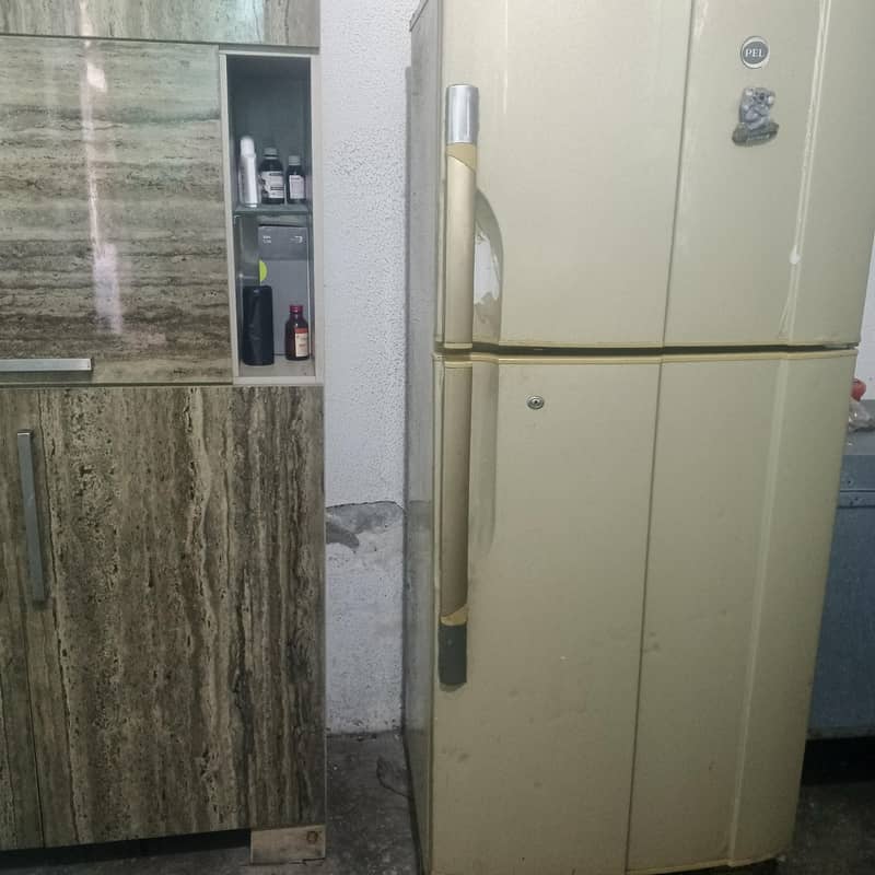 PEl fridge 1