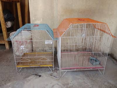 birds kage for sall