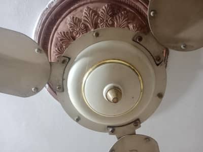 Fan for sale