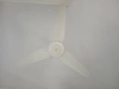 Fan For Sale