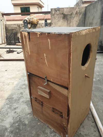 Raw parrot breading box for sale